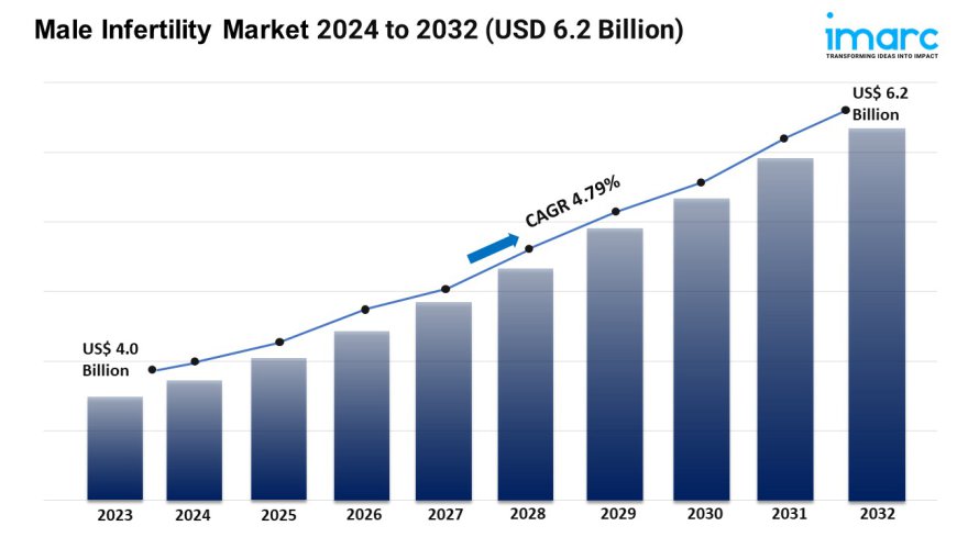 Male Infertility Market Trends, Scope, Outlook and Report 2024-2032