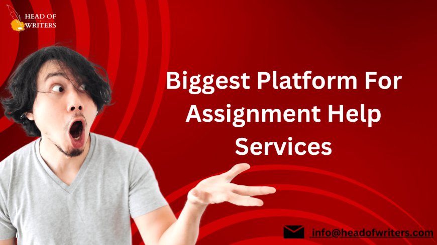 Biggest Platform For Assignment Help Services