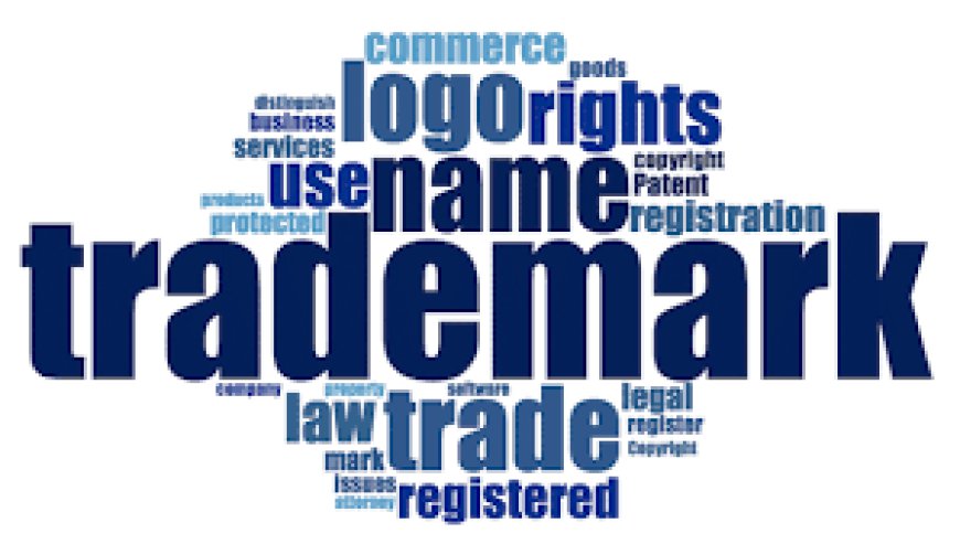 Top Methods for Conducting the Best Trademark Search in the USA