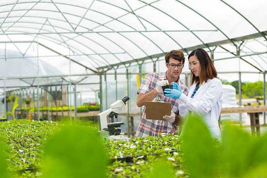 Agentes de Cambio: Educación Ambiental en México para un Futuro Sostenible