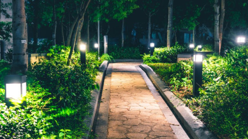 Exploring the Latest Trends in Landscape Lighting Services in Pompano Beach, FL