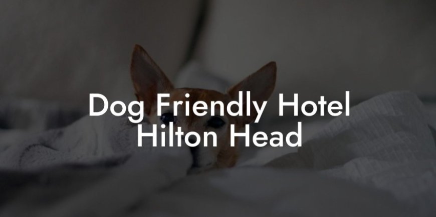 Pet friendly hotels hilton head