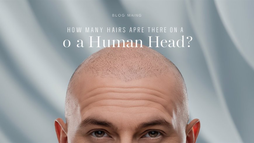 How Many Hairs Are There On A Human Head?