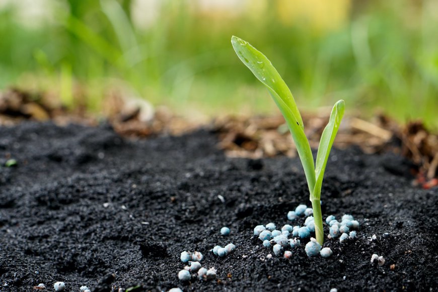 Report on Fertilizer Manufacturing Plant Detailing Business Plan, Cost Analysis and Material Requirements