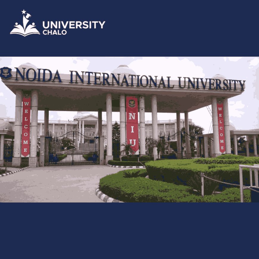 Noida International University: A Global Hub of Education