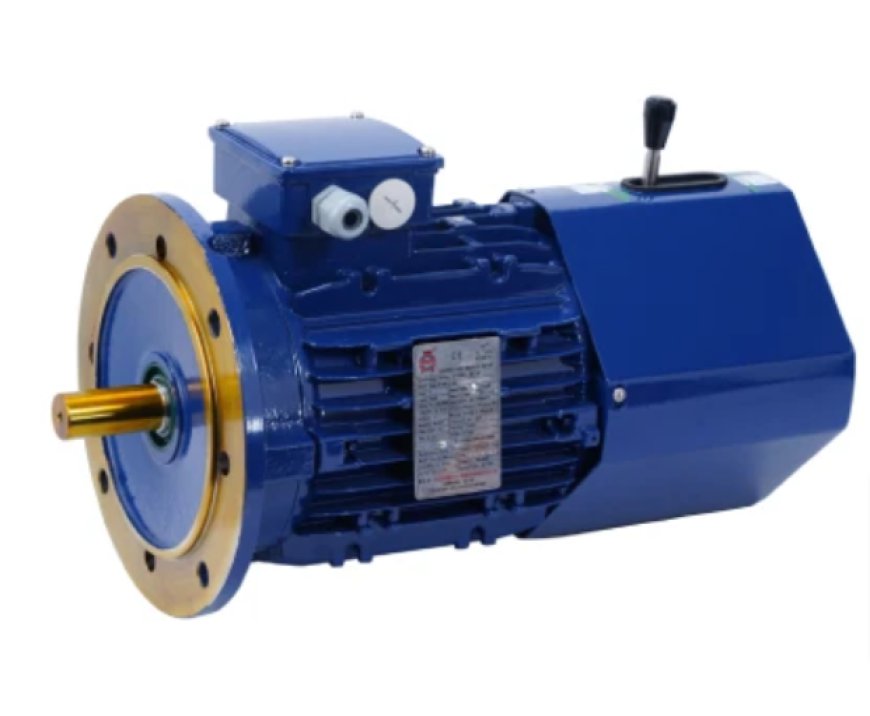 Windmill Motor Manufacturers