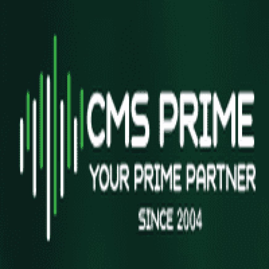 Dive into the World of Cryptocurrency with CMS Prime