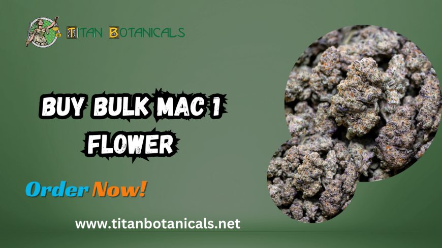 Buy Bulk MAC 1 Flower: Unlock the Premium Cannabis Experience