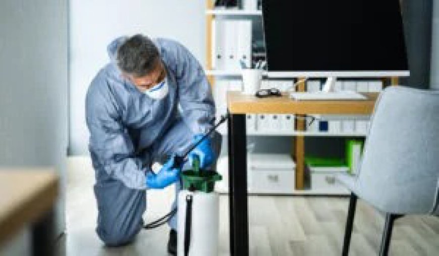 When You Should Consider Pest Control in Australia