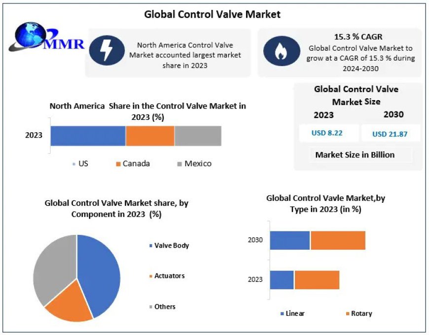 Control Valve Market Growth, Size, Revenue Analysis, Top Leaders and Forecast 2030