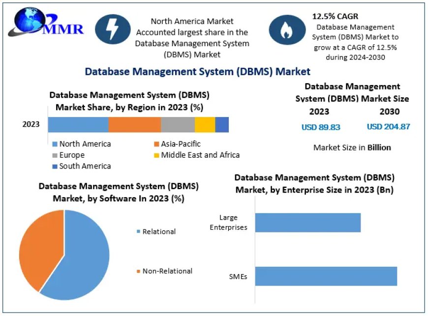 Database Management System (DBMS) Market Industry Size, Share, In-Depth Qualitative Insights, Growth Opportunity, Regional Analysis by 2030