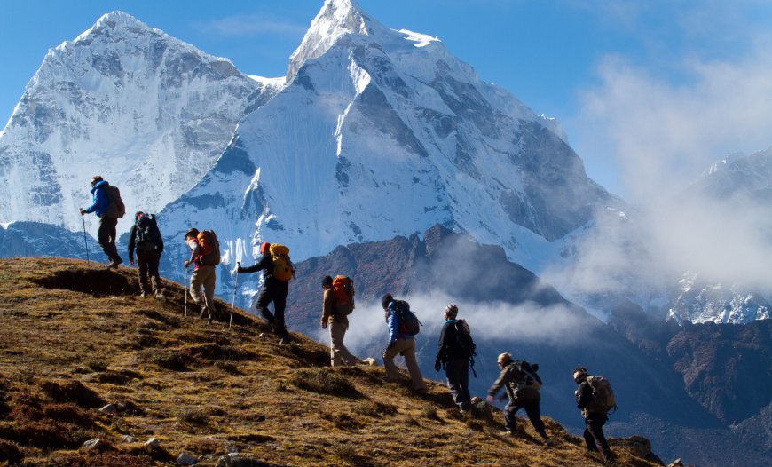 Into the Misty Trails: A Journey Through Nature’s Veil