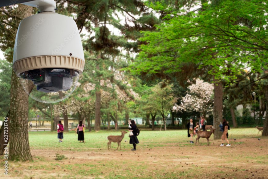 Top CCTV Cameras for Monitoring Backyards and Gardens in UAE Homes