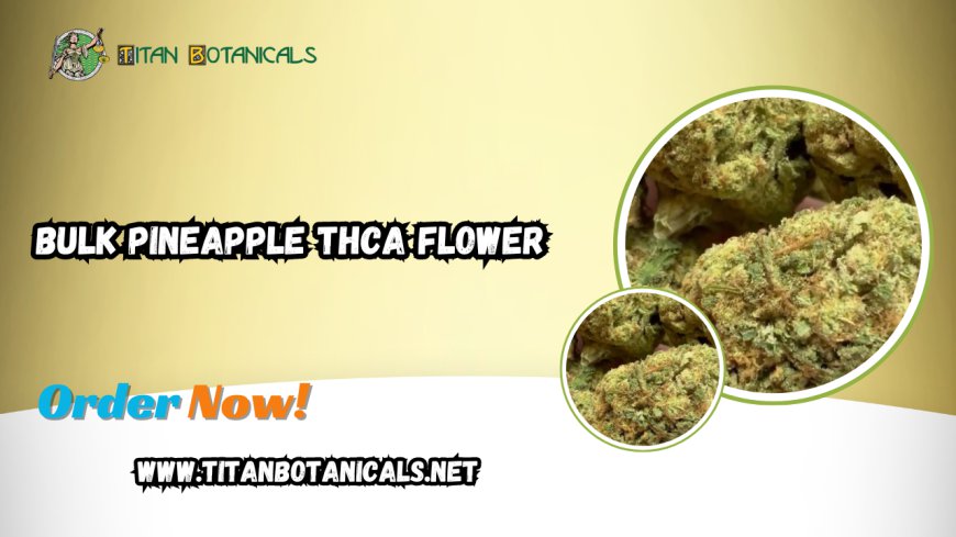 Bulk Pineapple THCA Flower: Unveiling the Tropical Powerhouse from Titan Botanicals