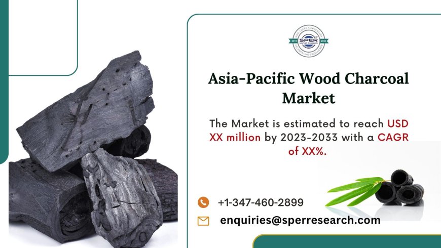 Asia-Pacific Wood Charcoal Market is forecasted to reach USD XX million by 2033, growing at an anticipated CAGR of XX%: SPER Market Research