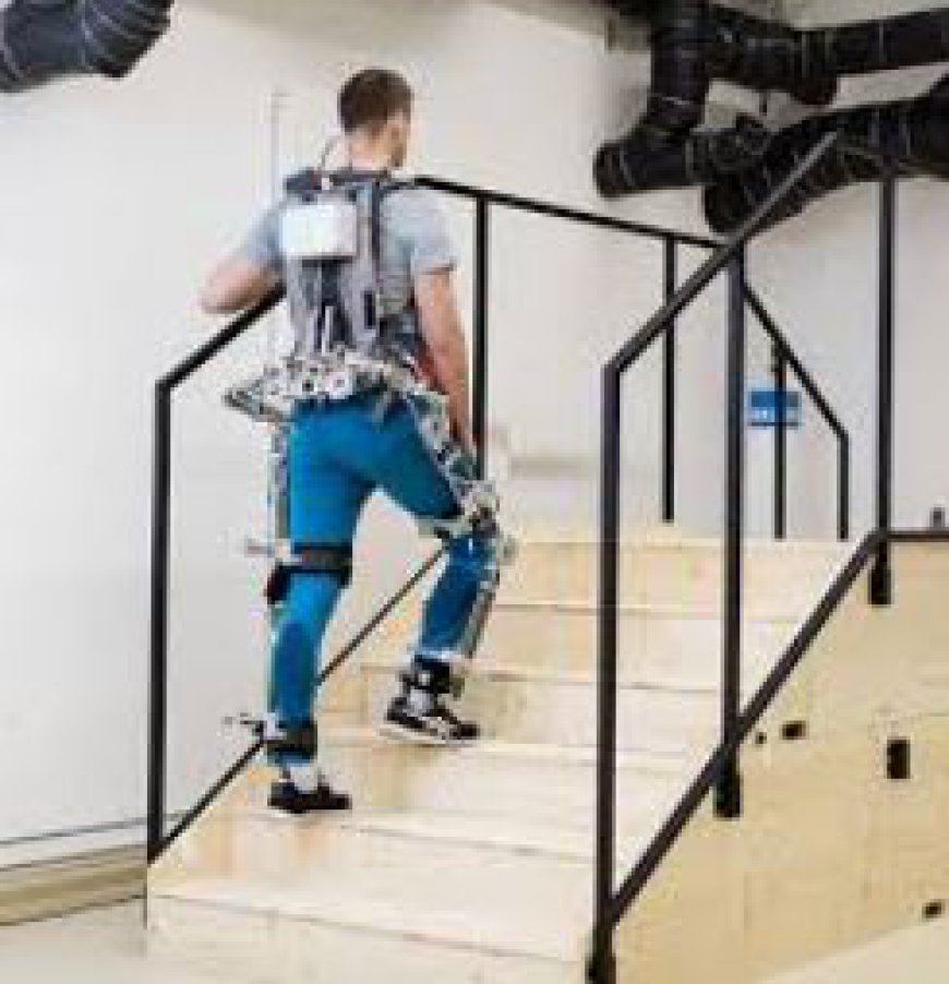 Exoskeleton System Market Size, Share Growth & Analysis Report 2024 To 2032