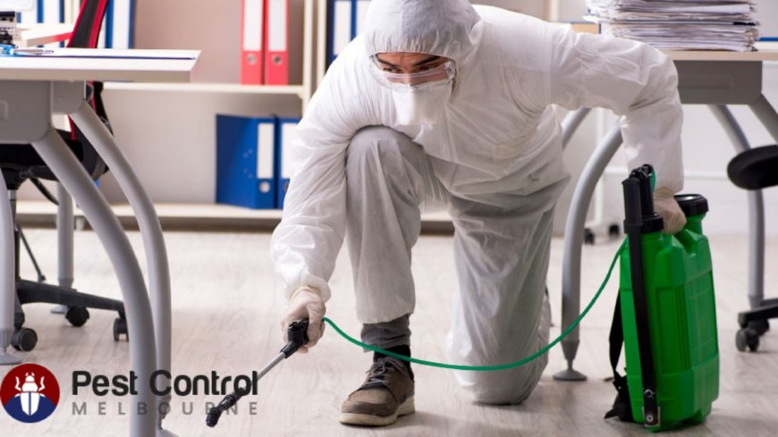 Pest Control Melbourne