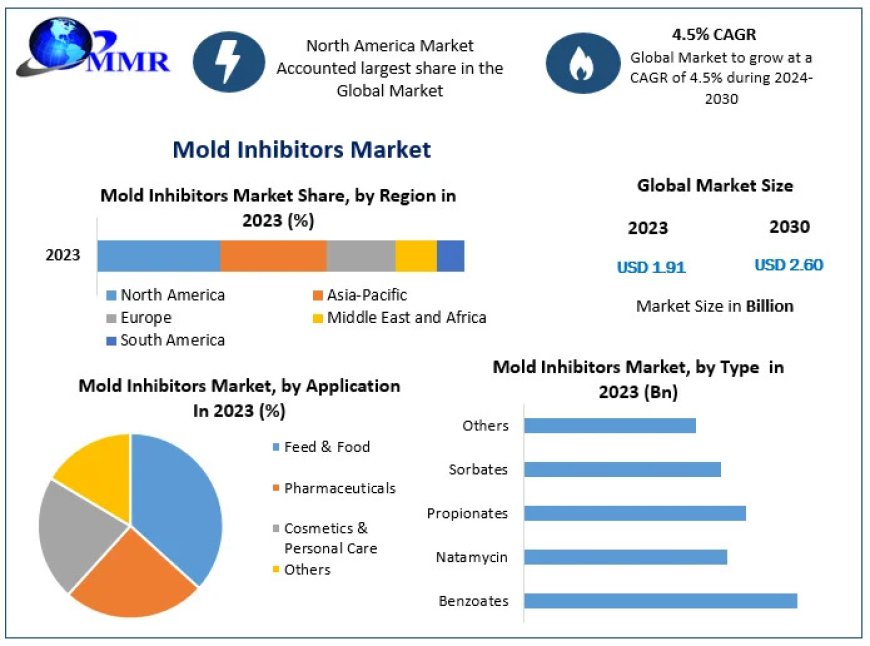 Mold Inhibitors Suppliers: Expanding Applications Across Industries by 2030