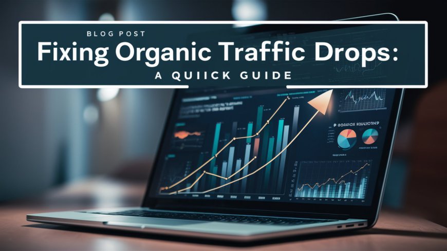 Fixing Organic Traffic Drops: A Quick Guide