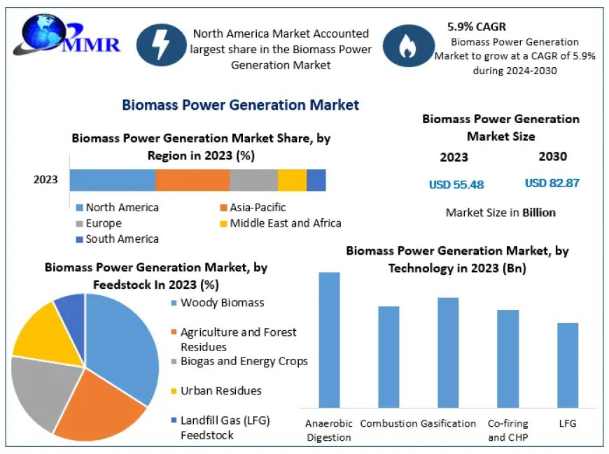 ​​​Biomass Power Generation Market Analysis by Size, Share, Opportunities, Revenue and Forecast 2030