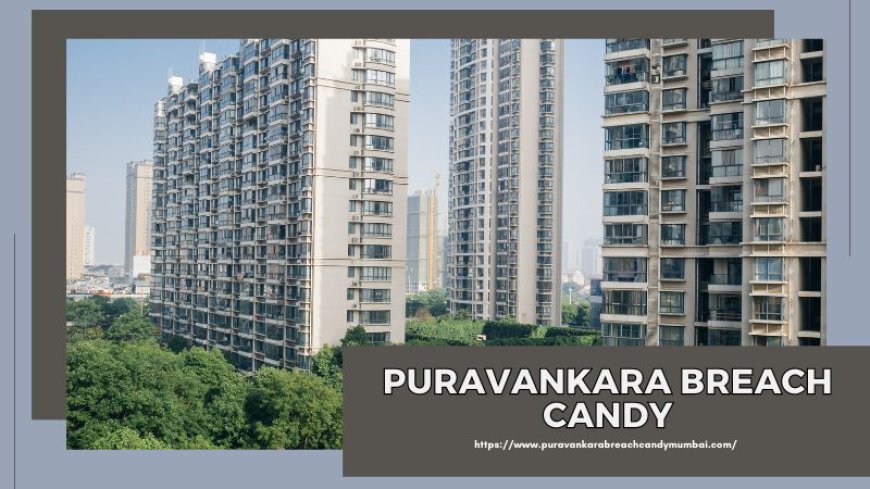 Puravankara Breach Candy: Flats For Investment in Mumbai