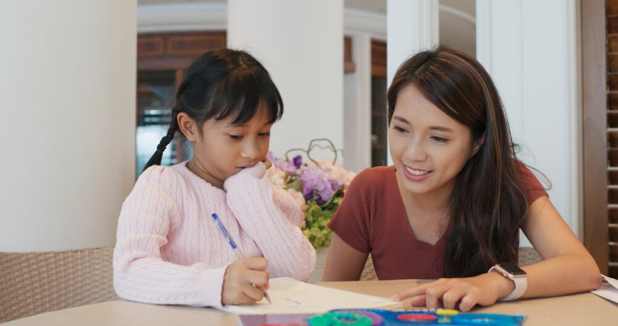 Navigating Educational Support in Singapore: Home Tuition, Private Tutors, and Tuition Centres