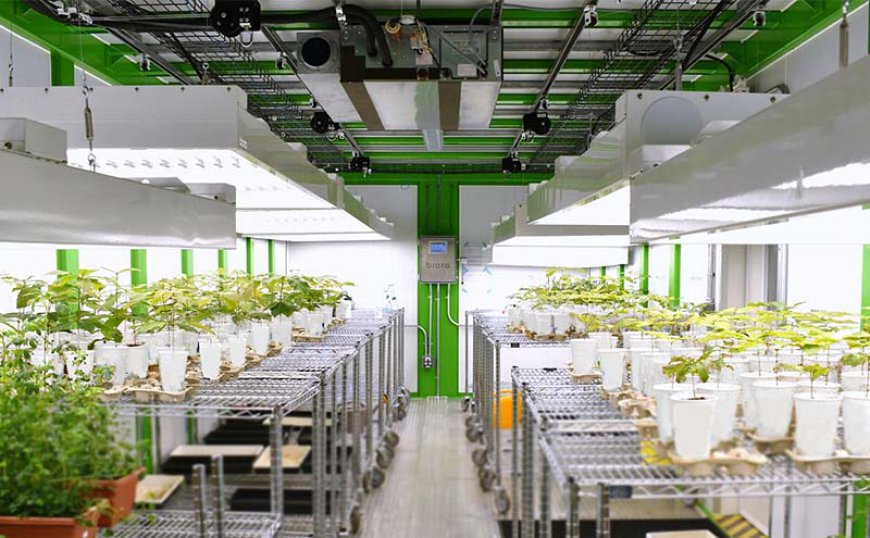 Plant Growth Chambers Market Size, Share Growth & Analysis Report 2024 To 2032