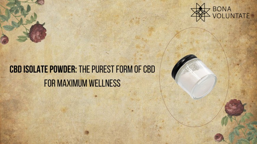 CBD Isolate Powder: The Purest Form of CBD for Maximum Wellness