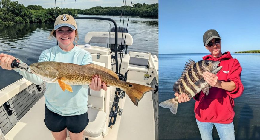 Crystal River Charter Boat