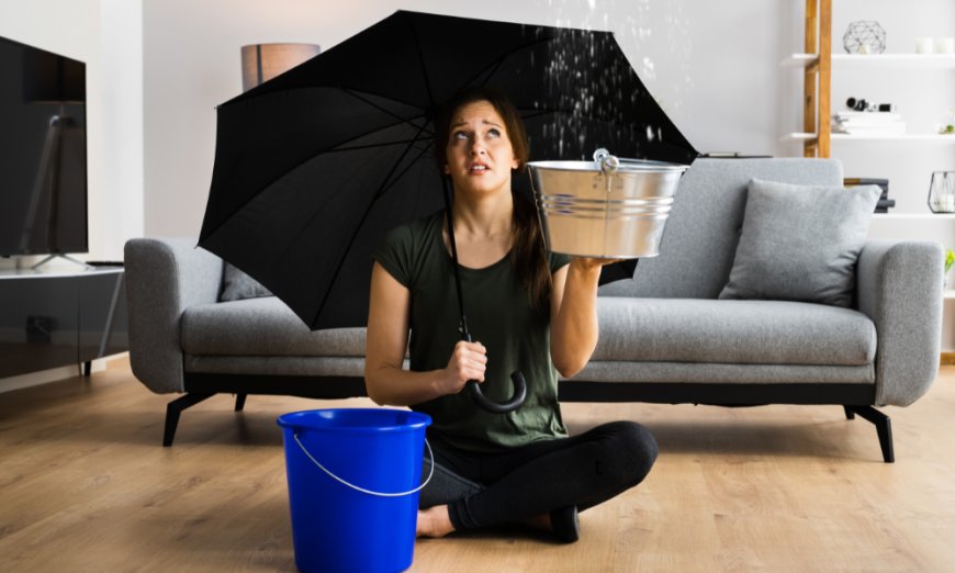 New Jersey's Best Water Damage Restoration Solutions