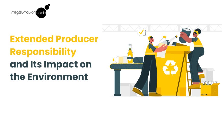 Extended Producer Responsibility and Its Impact on the Environment