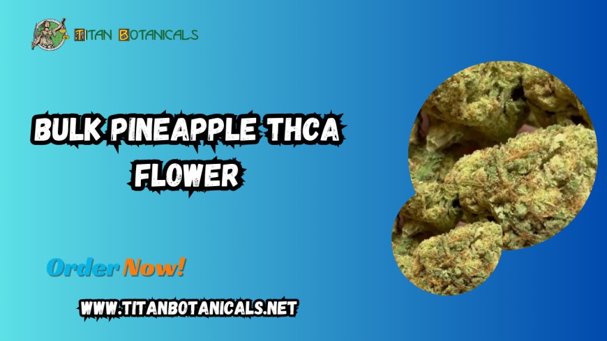 Discover the Delight of Bulk Pineapple THCA Flower by Titan Botanicals