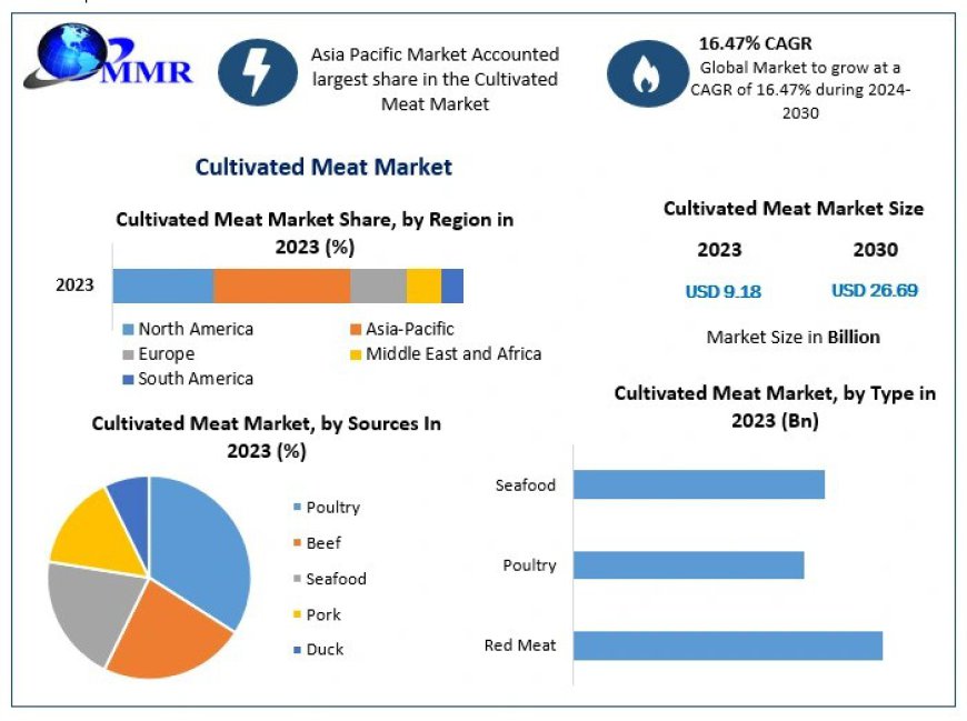 Cultivated Meat Market Size, Share, Industry Growth, Industry demand Report, Companies, And Forecast 2030