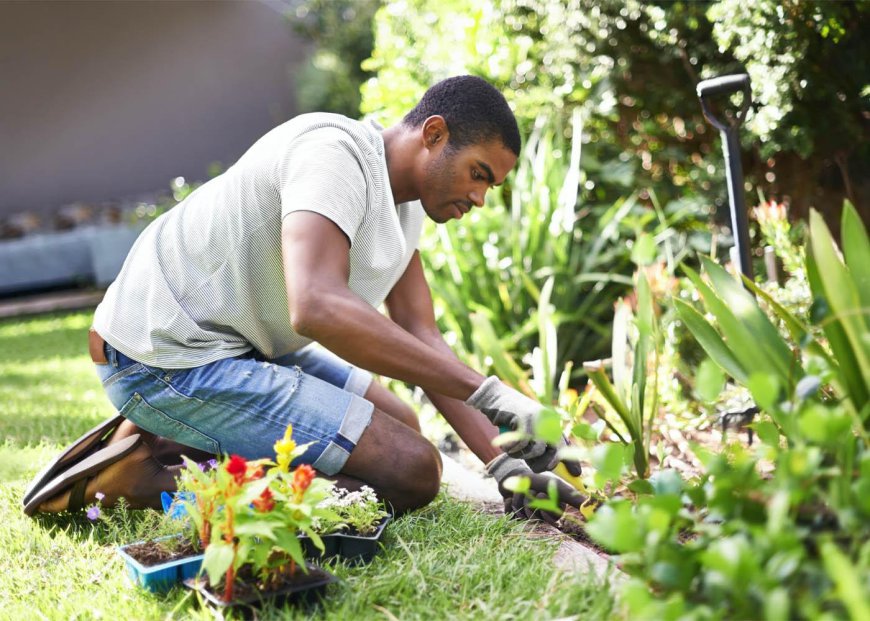 Innovative Garden Design and Landscaping for Romford Homes