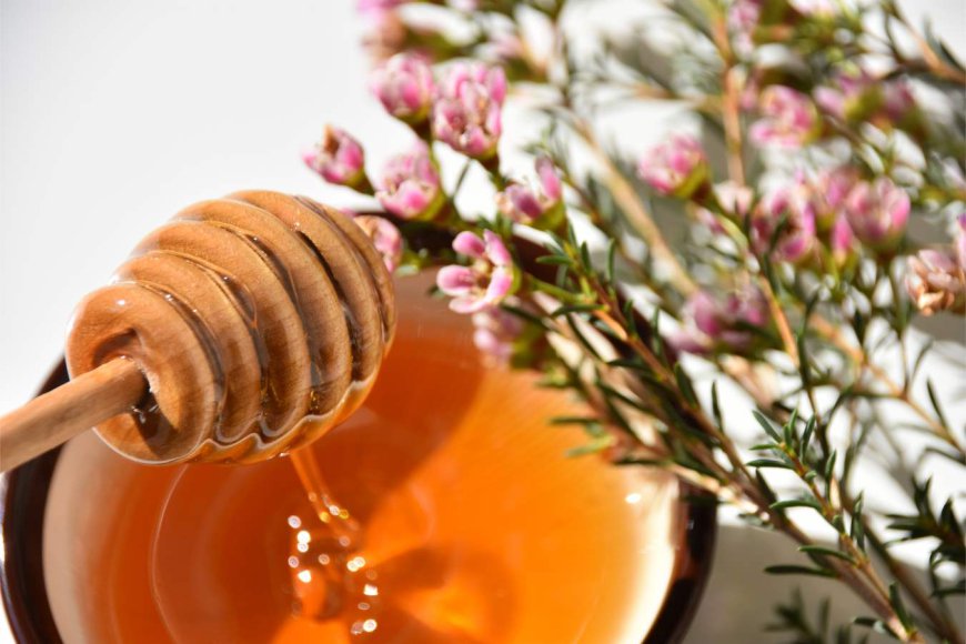 From Skin Care to Digestive Health: The Many Benefits of a Special Honey