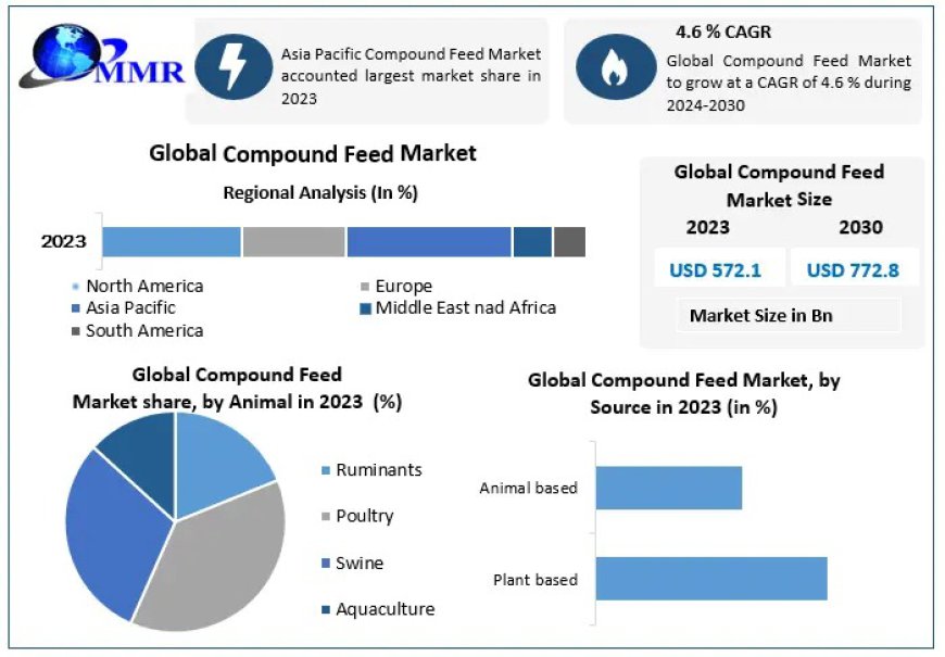 Compound Feed Market Share, Growth Forecast Global Industry Outlook 2024 – 2030