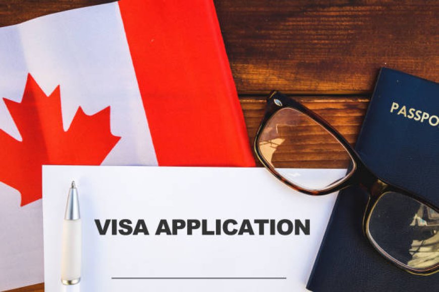 Canada Visit Visa Requirements: What You Need to Know Before Applying