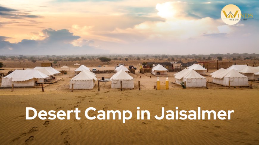 Camp In Jaisalmer