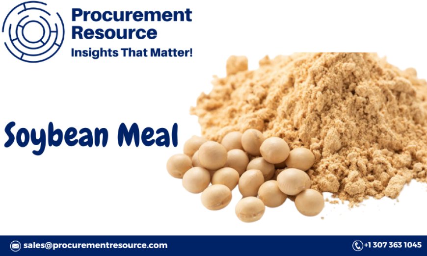 Comprehensive Soybean Meal Price News: Market Trends, Analysis, and Forecasts