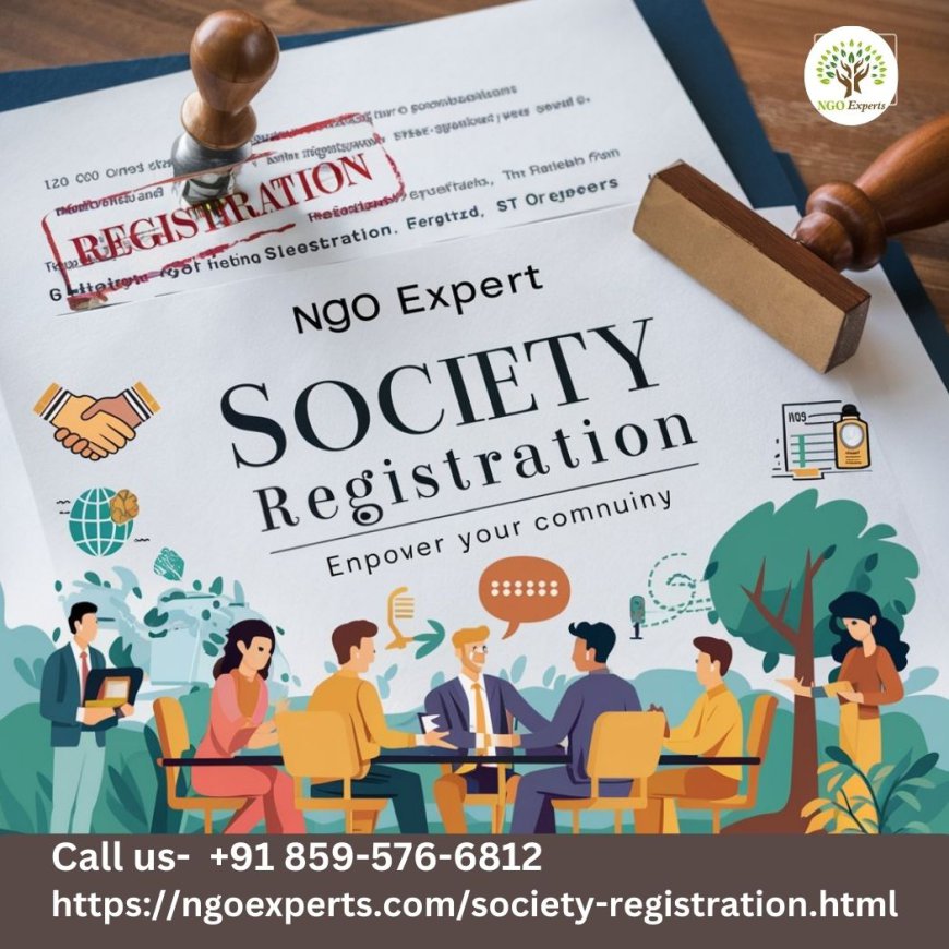 Understanding Society Registration: A Guide by NGO Expert