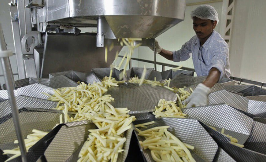 Detailed Report on Potato Processing Plant Setup Cost, Layout and Raw Material Requirements