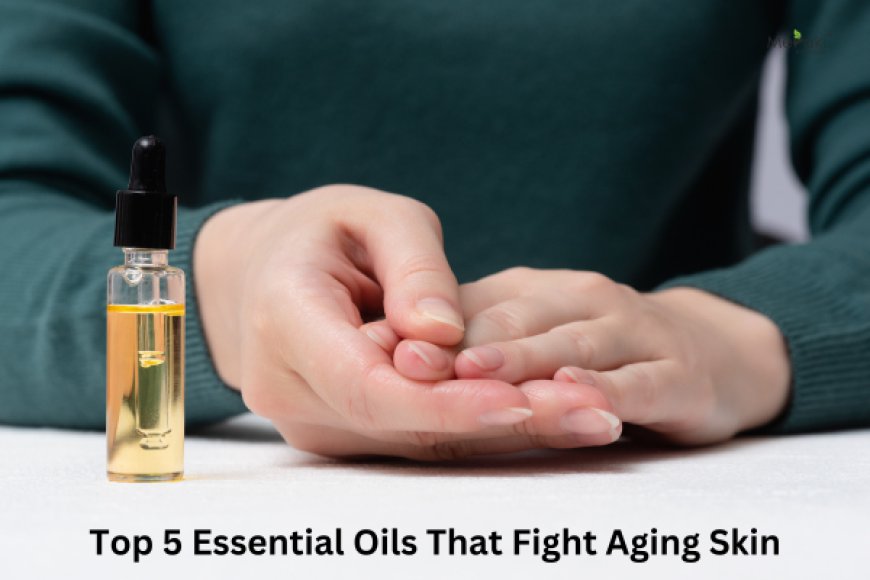 Top 5 Essential Oils That Fight Aging Skin