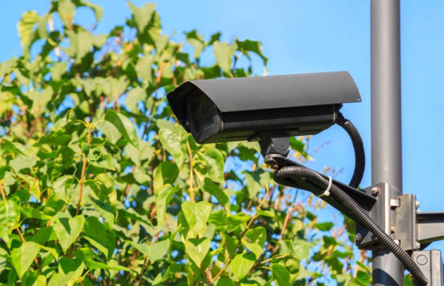 Why Every Public Park Should Have IP Camera Surveillance