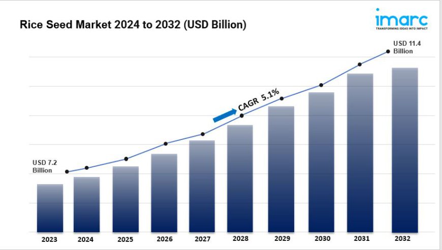 Rice Seed Market Size, Share, Trends, Industry Analysis, Report 2024-2032