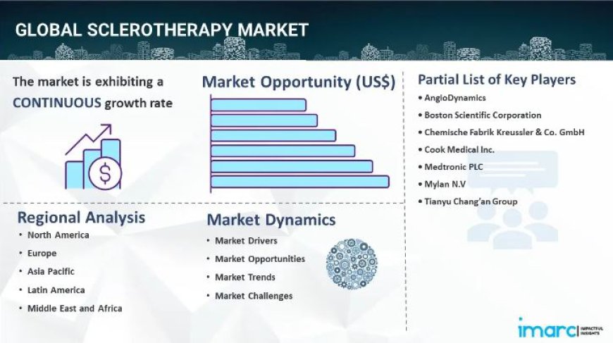 Sclerotherapy Market 2024-2032: Industry Growth, Share, Size, Key Players Analysis & Forecast