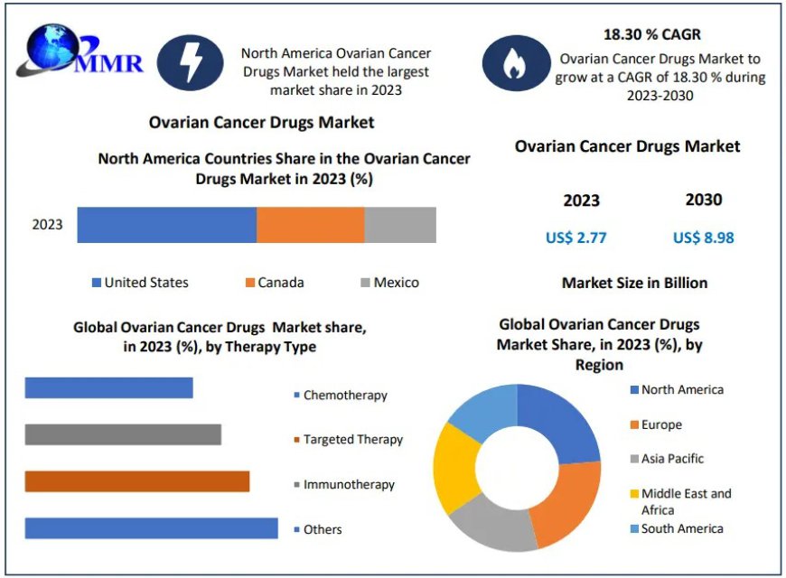 Ovarian Cancer Drugs Market Share, Growth Forecast Global Industry Outlook 2024 – 2030