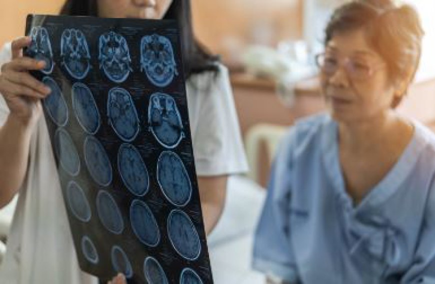 Glioblastoma Multiforme Treatment Market Size, Share Growth & Analysis Report 2024 To 2032