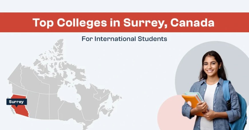 Which Colleges in Surrey Offer the Best Programs for International Students?