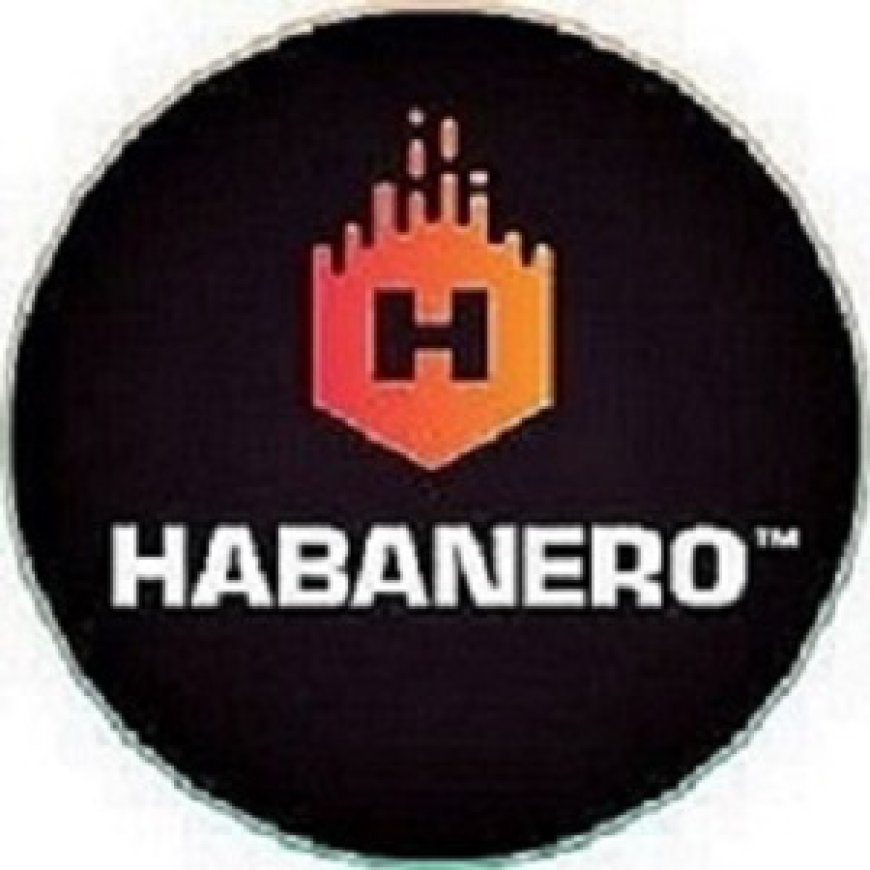 From Cards to Spins: Habanero Online Casino Delivers Non-Stop Action