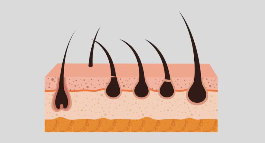 Minoxidil Market Size, Share, Growth, Trends and Forecast